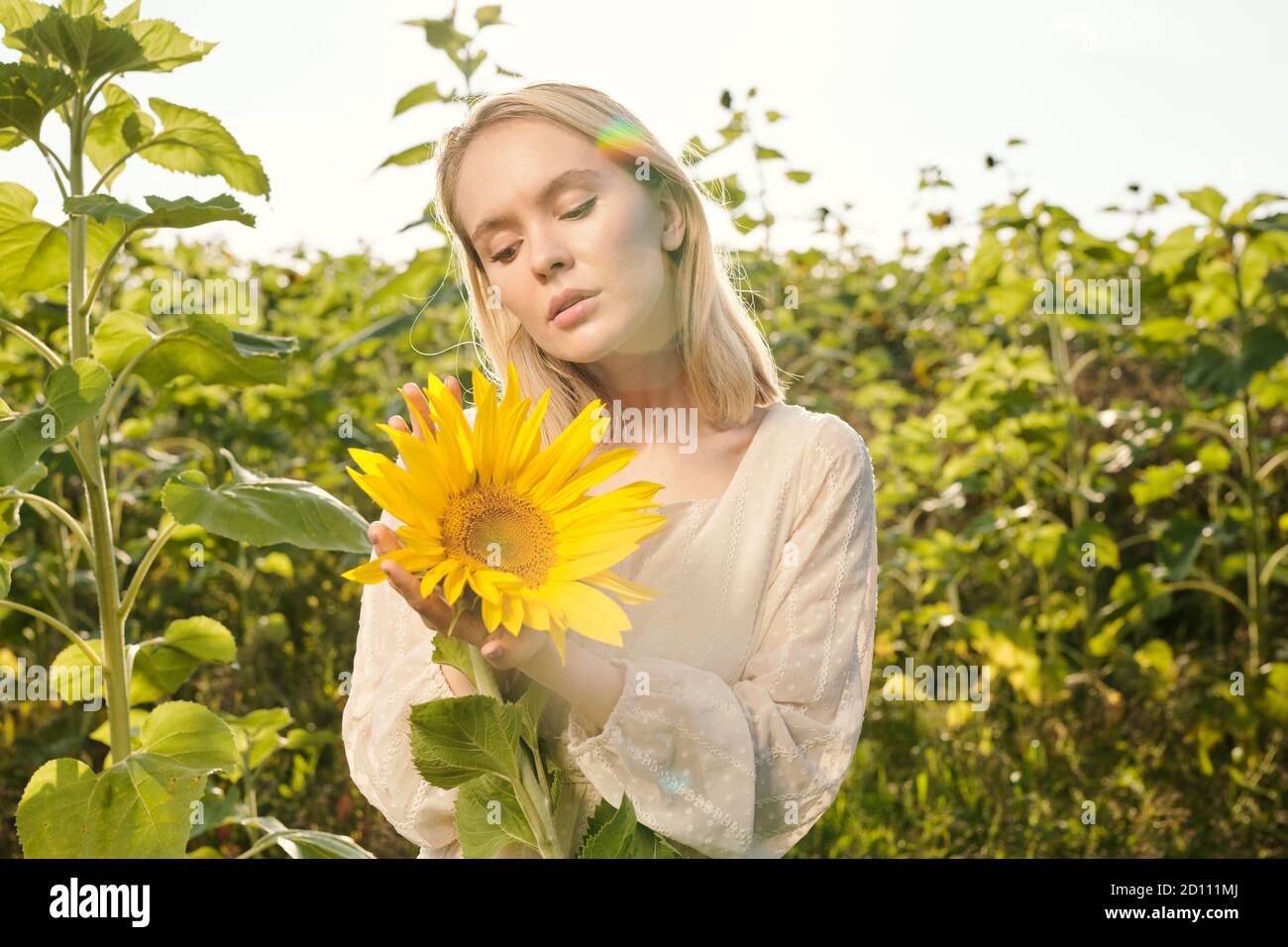 Schöne junge blonde Frau im Landhausstil Kleid stehen in Vorderseite der Kamera Stockfoto
