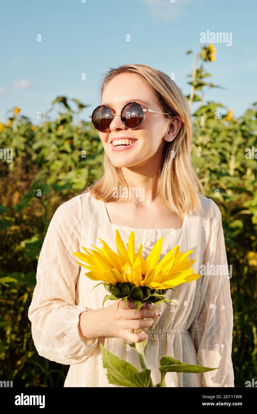 Fröhliche junge Frau in Sonnenbrille und weißem Kleid stehen Große Sonnenblume Stockfoto