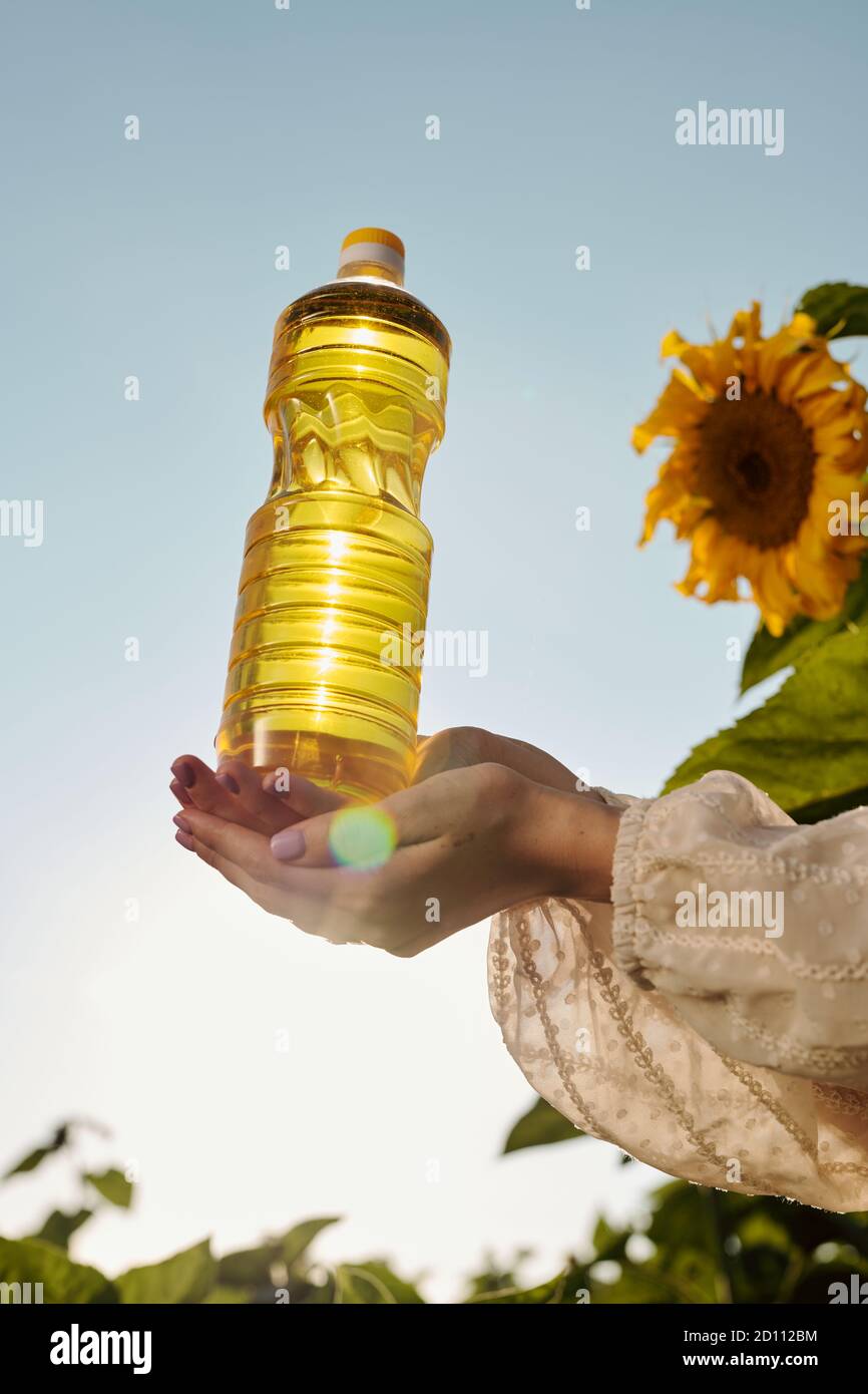 Hände der jungen Frau in weißem Kleid hält Flasche Sonnenblumenöl Stockfoto