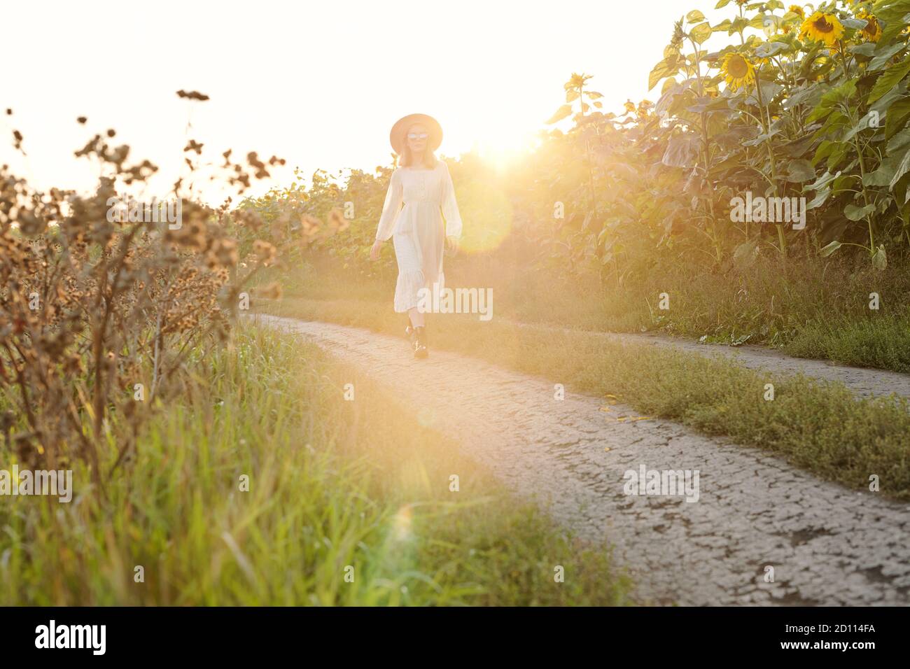 Hübsches Mädchen in Hut, Sonnenbrille und Kleid bewegen sich auf dem Weg zwischen Sonnenblumen Stockfoto