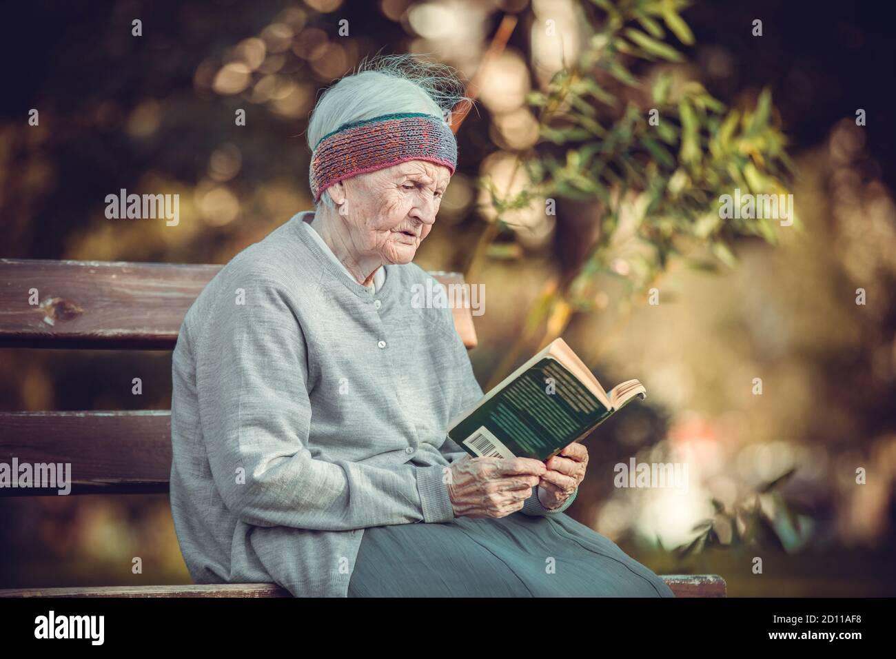 Porträt einer älteren Frau im Park lesen Fiktion Buch Stockfoto