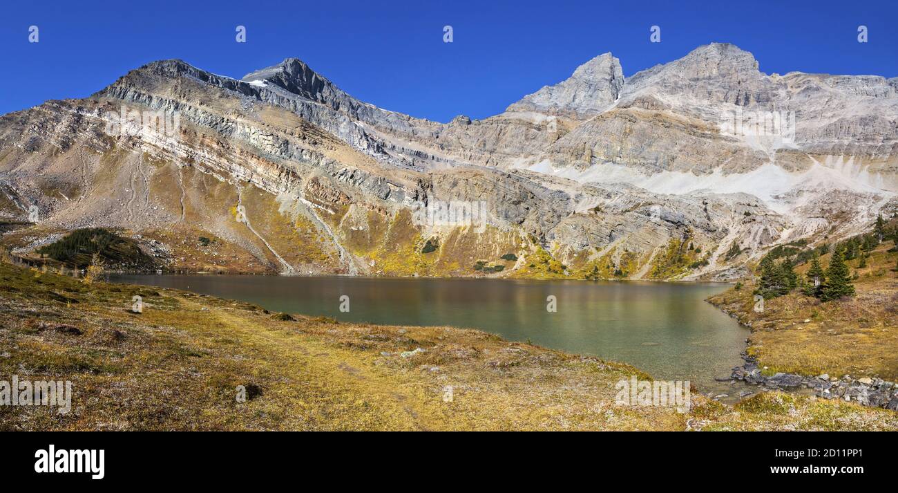 Hochauflösendes Panorama-Landschaftsbild. Wunderschöner versteckter See und goldene Herbstfarben, Skoki Region, Banff National Park, Kanadische Rocky Mountains Stockfoto