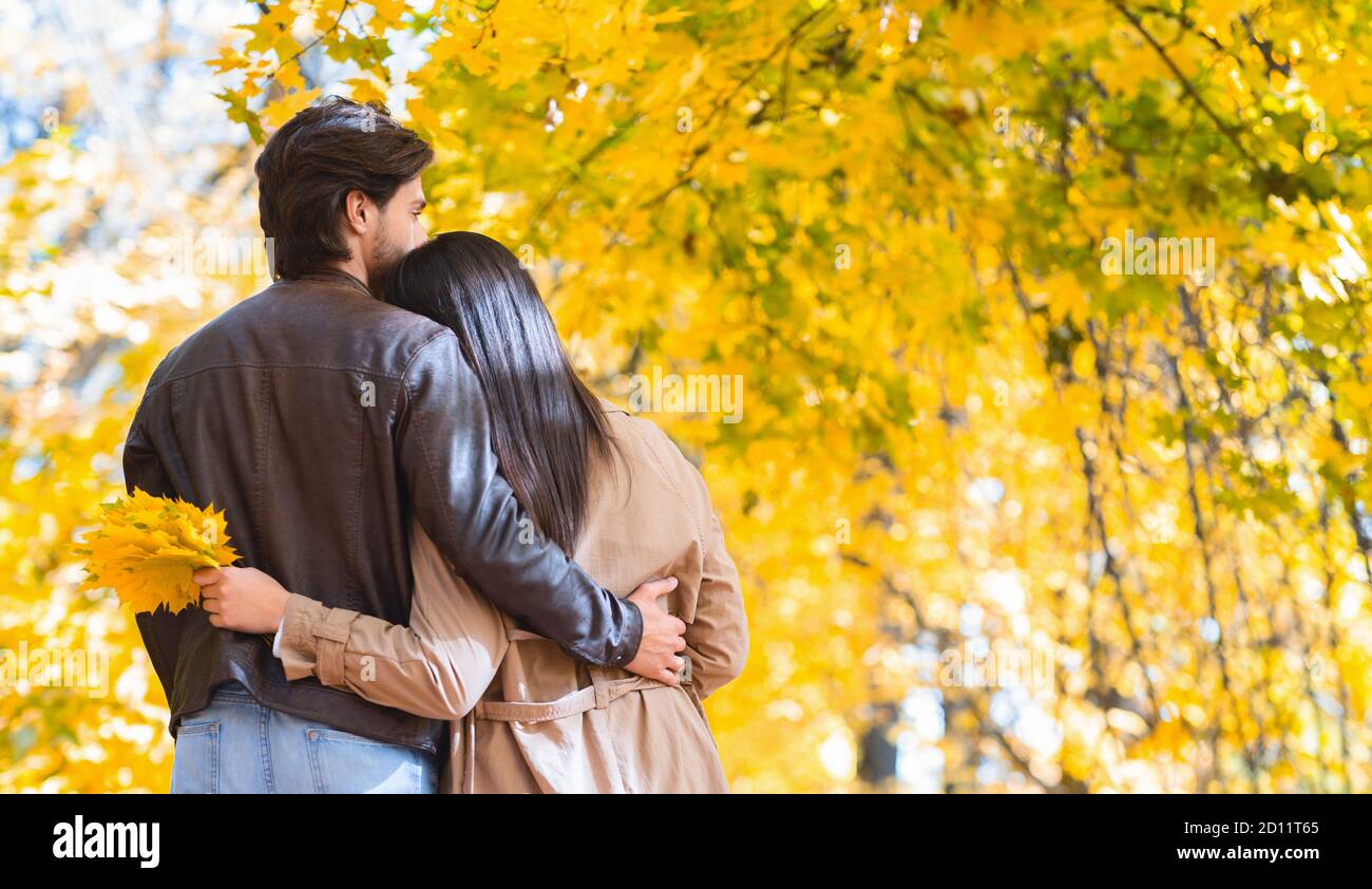 Rückansicht des Paares, das zusammen im Herbstwald spazierengeht Stockfoto