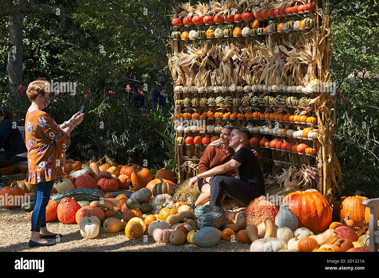 Dallas, USA. Okt. 2020. Am 4. Oktober 2020 macht eine Frau Fotos im Pumpkin Village in Dallas Arboretum, Texas, USA. Das national gefeierte Pumpkin Village im Dallas Arboretum bietet Kürbishäuser und kreative Ausstellungen aus mehr als 90,000 Kürbissen, Kürbissen und Squash. Quelle: Dan Tian/Xinhua/Alamy Live News Stockfoto
