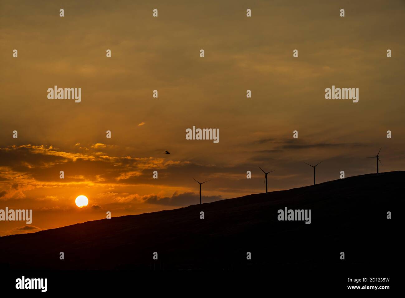 Maui, Hawaii. Windmühlen auf den West Maui Bergen bei Sonnenuntergang. Stockfoto