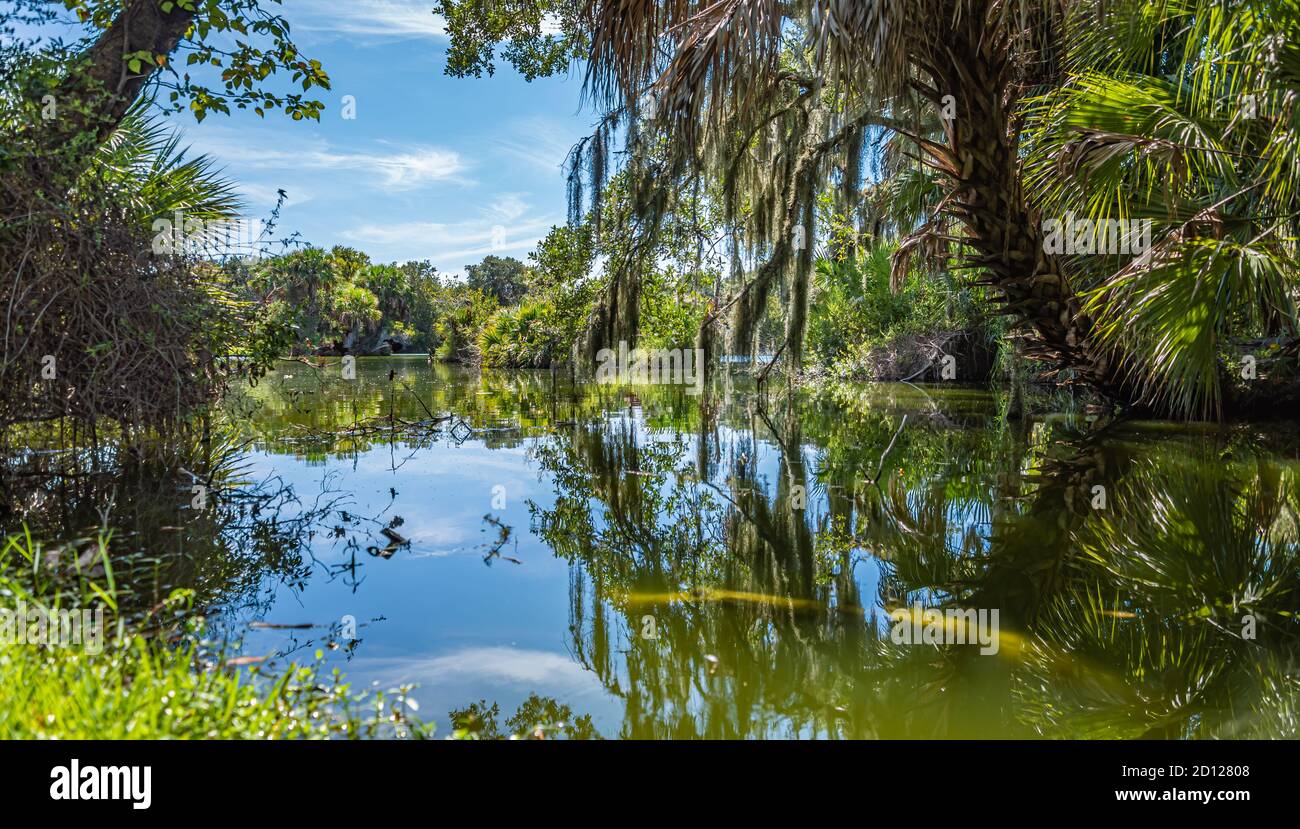 Landschaftlich reizvolle Landschaft Floridas im Kathryn Abbey Hanna Park, einem Park am Meer in Jacksonville, Florida. (USA) Stockfoto