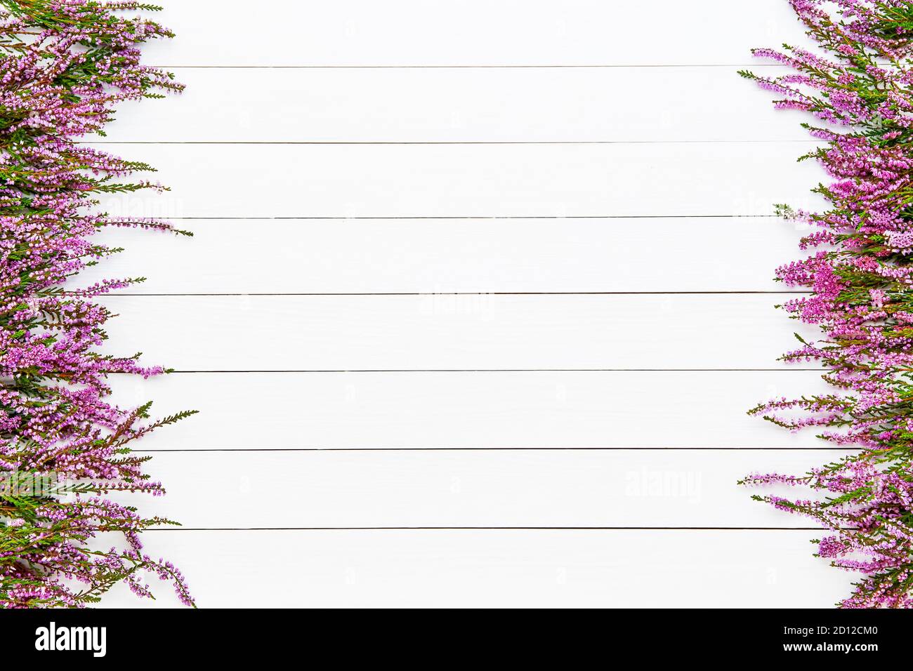 Pink Common Heather Blumen boder auf weißem Holzhintergrund. Platz für Text kopieren, Draufsicht. Flach liegend, selektiver Fokus Stockfoto
