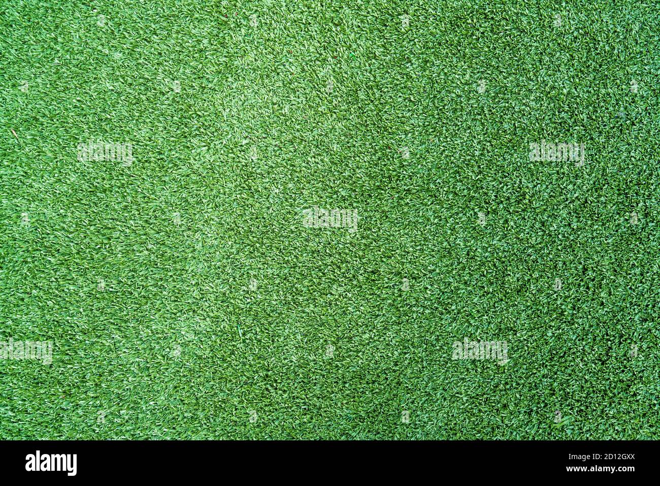 Nahaufnahme von grünem Gras oder Rasen von oben, einem Spielplatz oder Feld. Muster und strukturiertes Konzept. Hochwertige Fotos Stockfoto