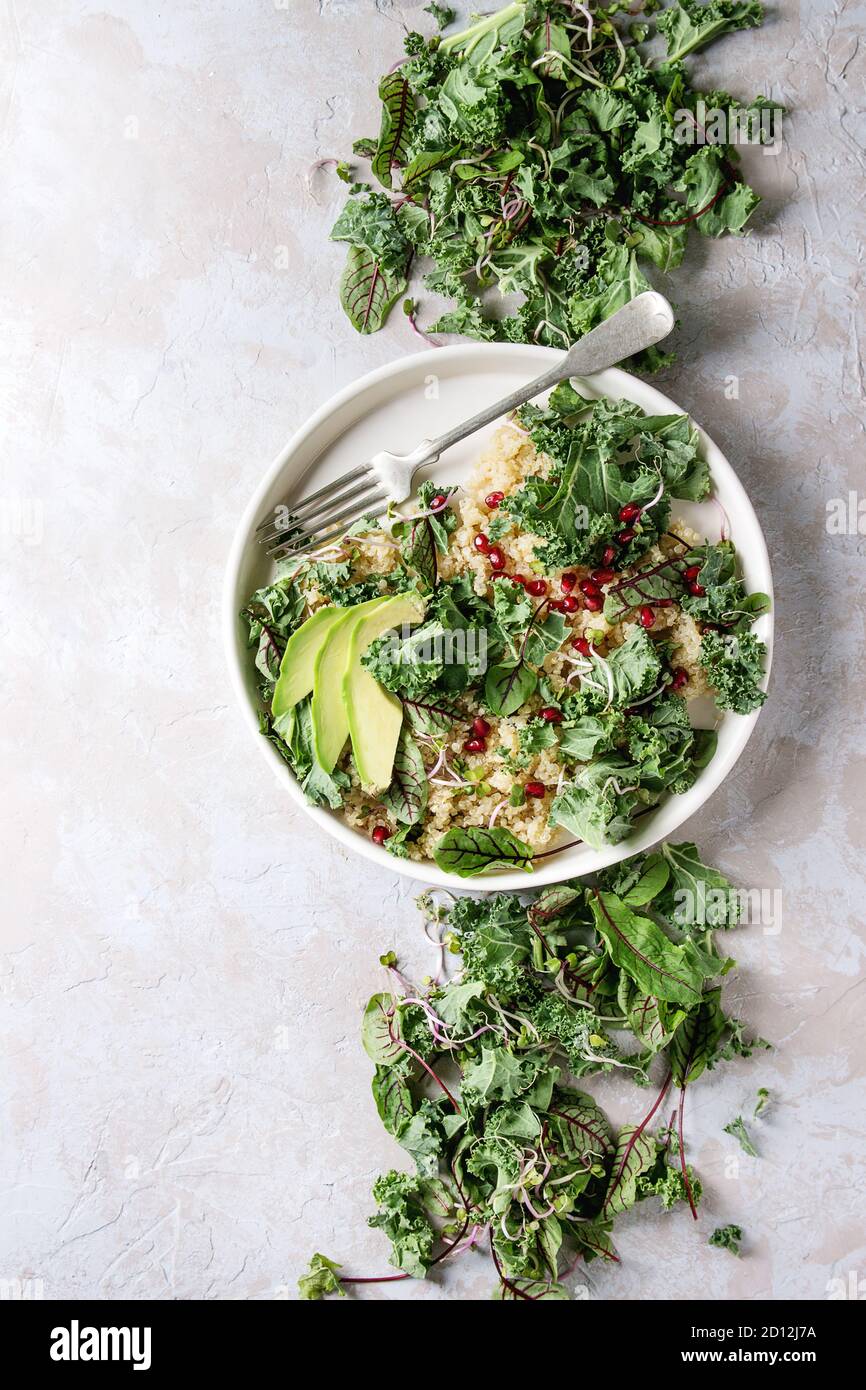 Vegan quinoa Salat mit Grünkohl, junge Rote Bete Blätter, Granat Samen, in Scheiben geschnittenen Avocado in weiße Platte mit Zutaten oben über grau Textur Hintergrund. Stockfoto