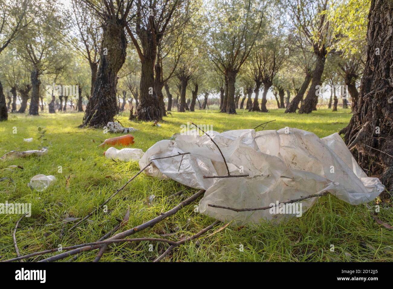 Plastik und anderer Müll, der von Touristen geworfen wird, verschmutzen Parks. Plastikmüll Umweltverschmutzung Problem. Kartal Eco Park, Orlovka Dorf, Reni rajon, Odessa Oblast, Ukraine, Osteuropa Stockfoto