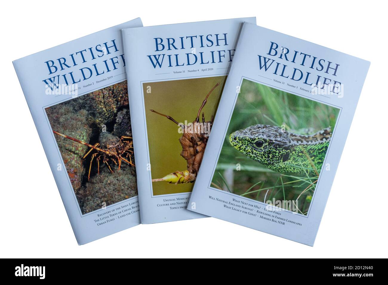 British Wildlife Zeitschriften oder Zeitschriften auf weißem Hintergrund, UK wissenschaftliche Publikation Stockfoto