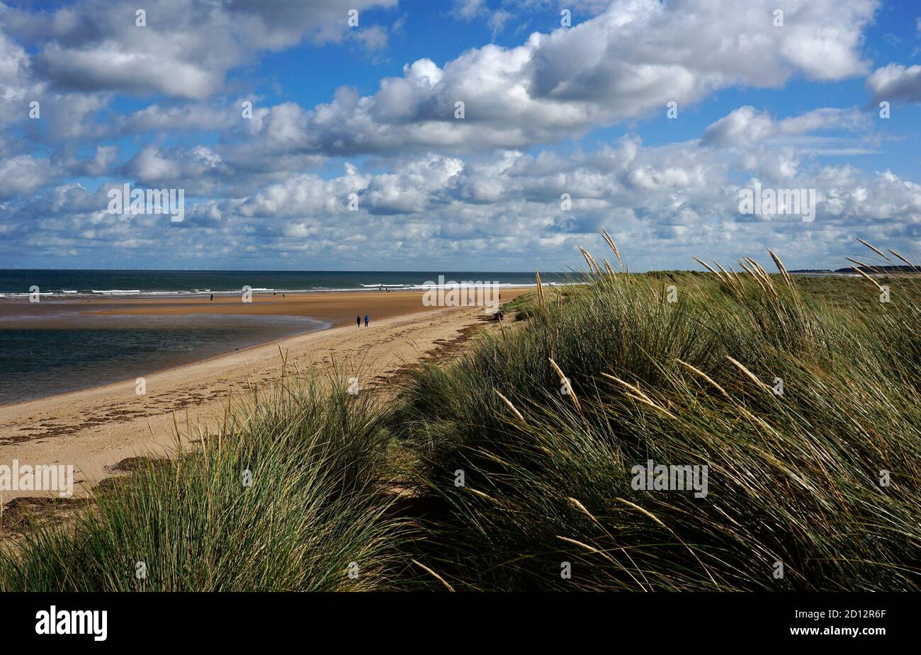 Holkham Beach und Sanddünen, Norfolk, England Stockfoto
