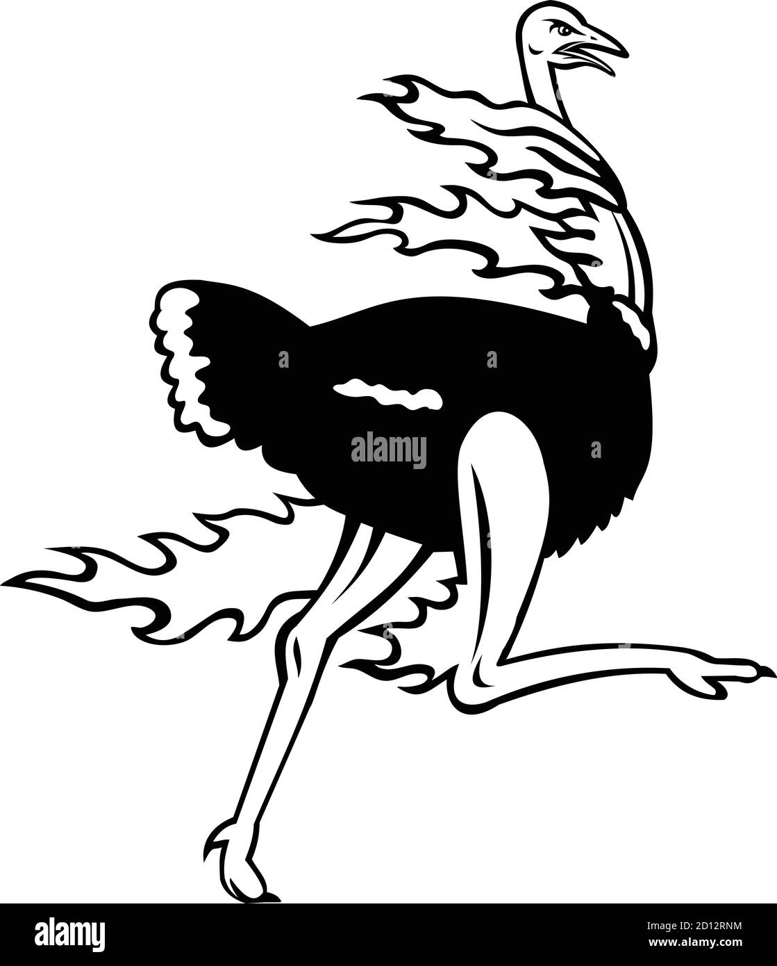 Maskottchen Illustration eines gemeinsamen Straußes, eine Art von großen flugunfreien Vogel aus Afrika, laufen, während auf Feuer von der Seite auf isolierten Rücken gesehen Stock Vektor