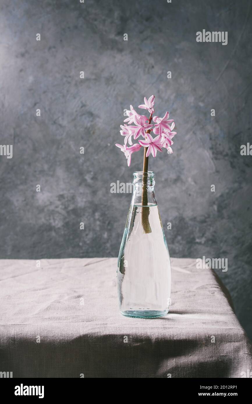 Frühling rosa Hyazinthe Blau Glas Flasche stehen auf Tabelle mit Bettwäsche Tischdecke. Stockfoto