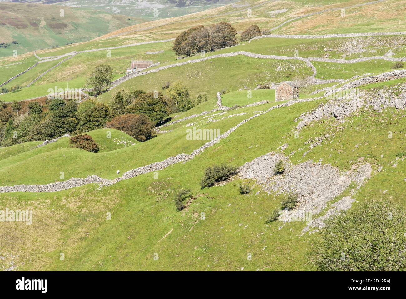 Dies ist der North Yorkshire Dales Blick auf Archengarthdale und Swaledale mit seinen berühmten Wandsystemen und Heuschellen reflektieren Eine Ära vor langer Zeit Stockfoto