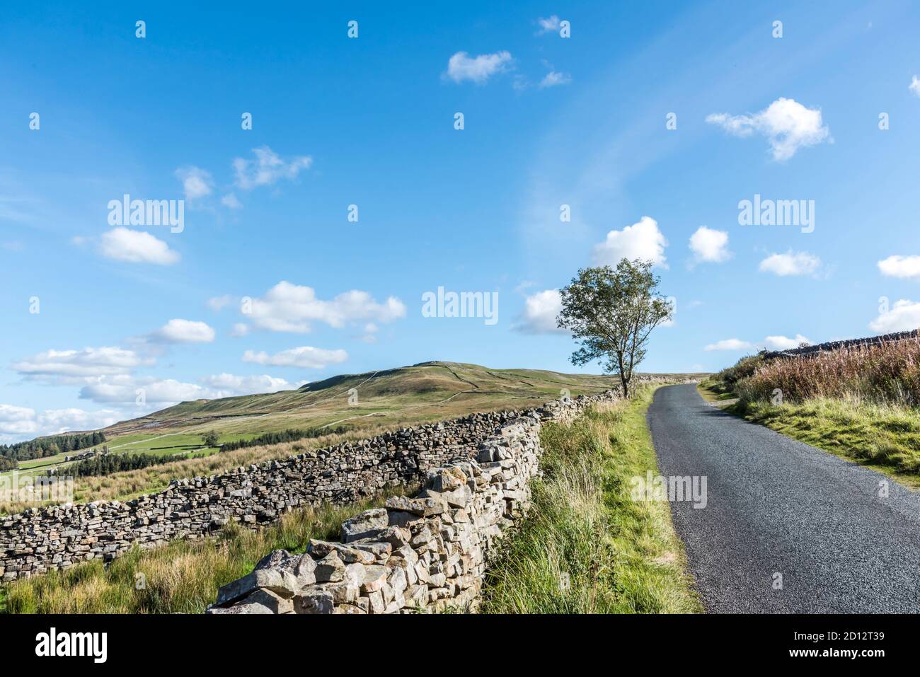 Dies ist der North Yorkshire Dales Blick auf Archengarthdale und Swaledale mit seinen berühmten Wandsystemen und Heuschellen reflektieren Eine Ära vor langer Zeit Stockfoto