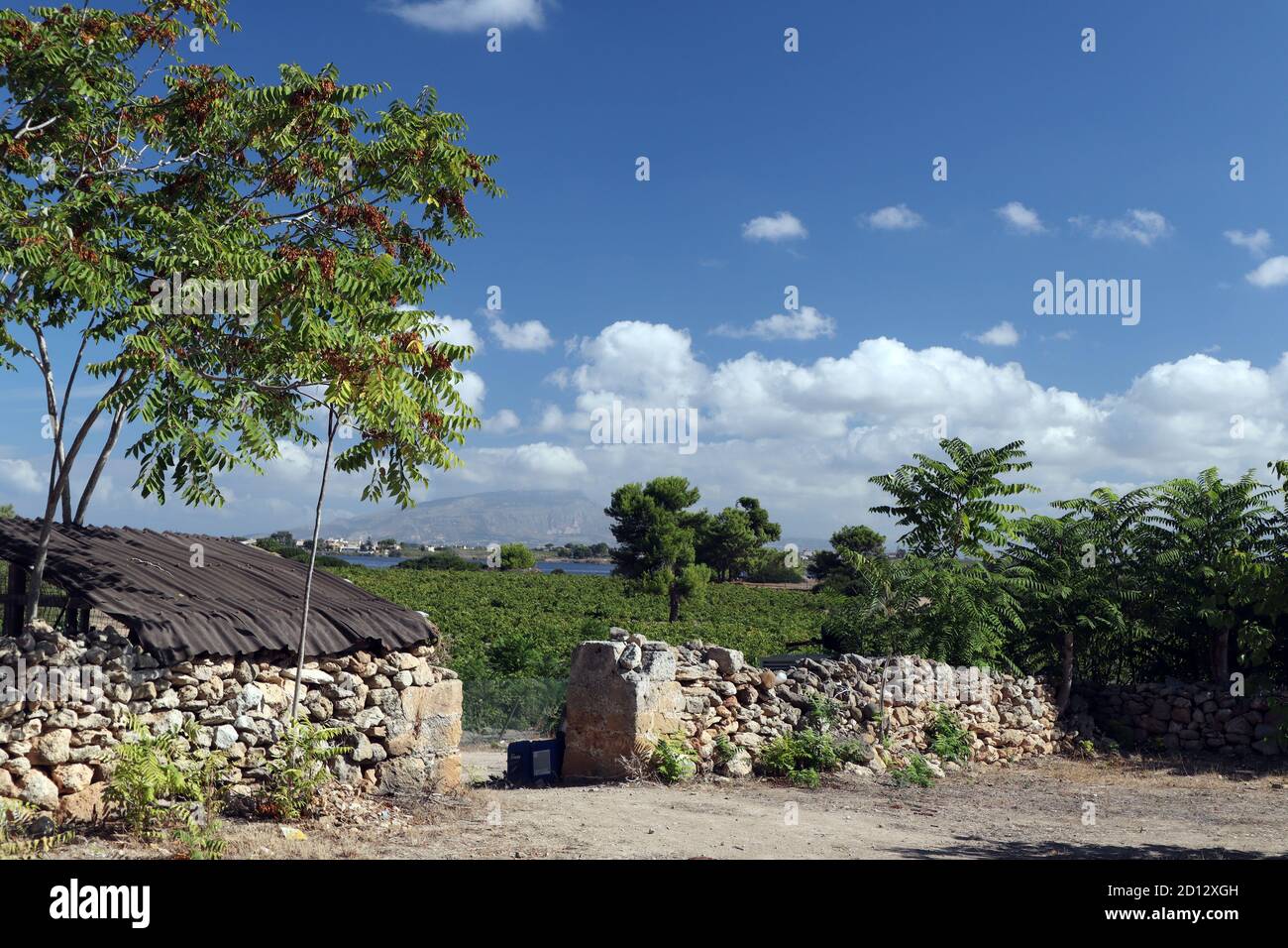 Überreste von Gebäuden, die die antike Stadt Motya on bilden Die Insel San Pantaleo Insel (Motzia) Sizilien Stockfoto