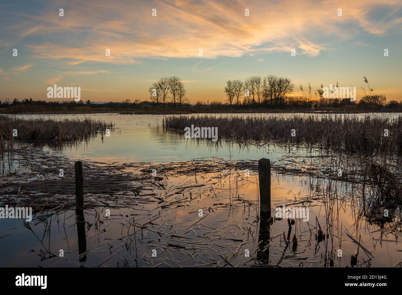 Schilf schwimmt im Wasser des Sees, Himmel nach Sonnenuntergang Stockfoto