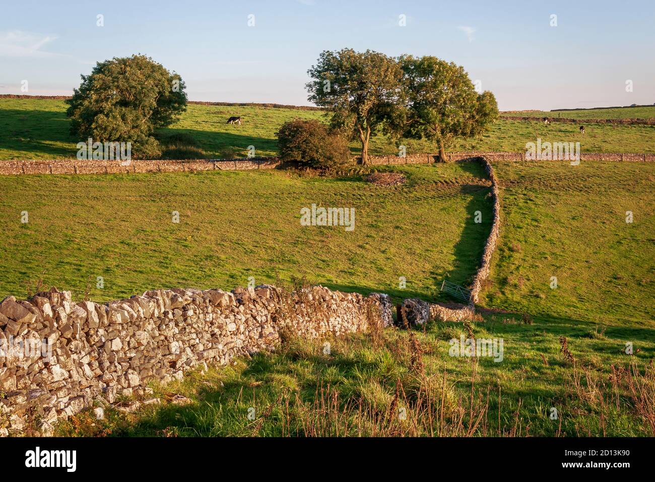 Trockensteinmauer, in der Nähe von Wetton, Peak District National Park, Staffordshire, England Stockfoto