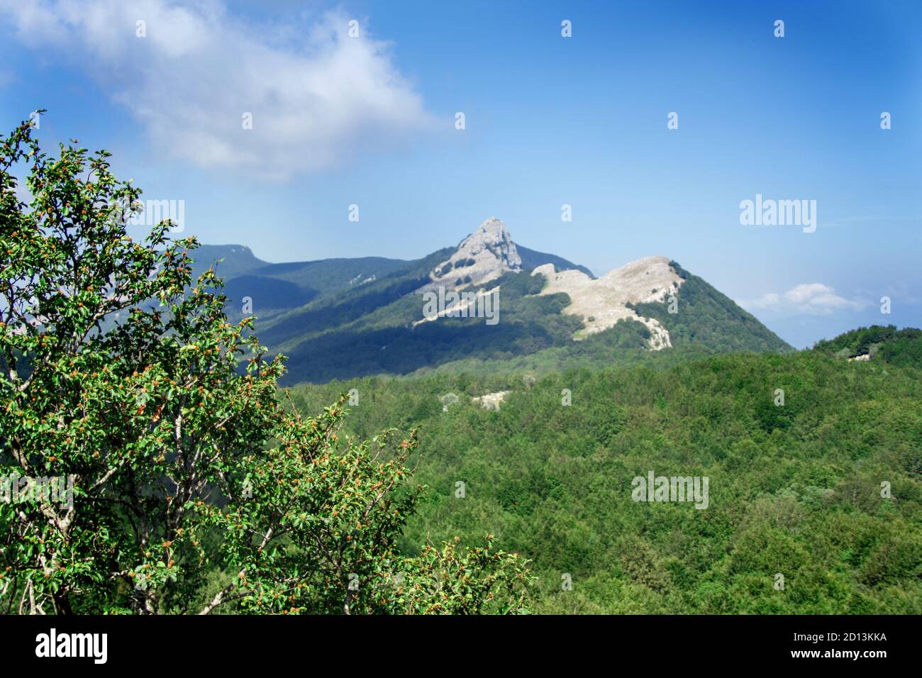 Panoramablick auf den Cilento Nationalpark vom Panormo Berg, Kampanien, Italien Stockfoto