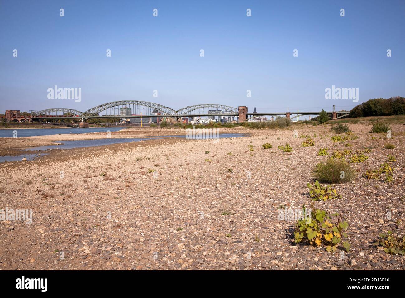 Niederrhein, 18. September 2020, Rheinufer in Köln-Poll, Südbrücke (Südbrücke), Blick auf den Dom, Colo Stockfoto