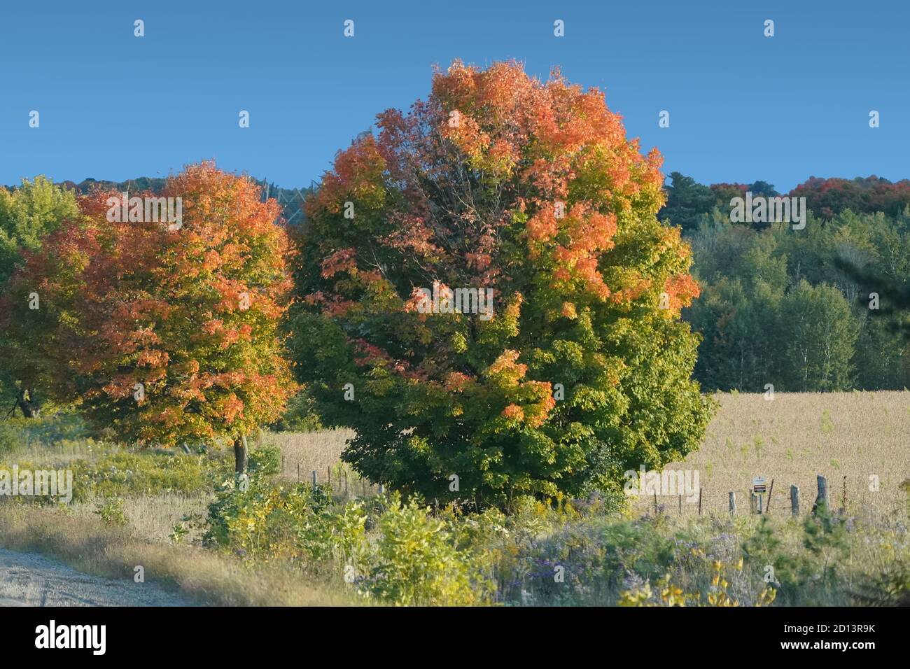 Herbstszenien Stockfoto