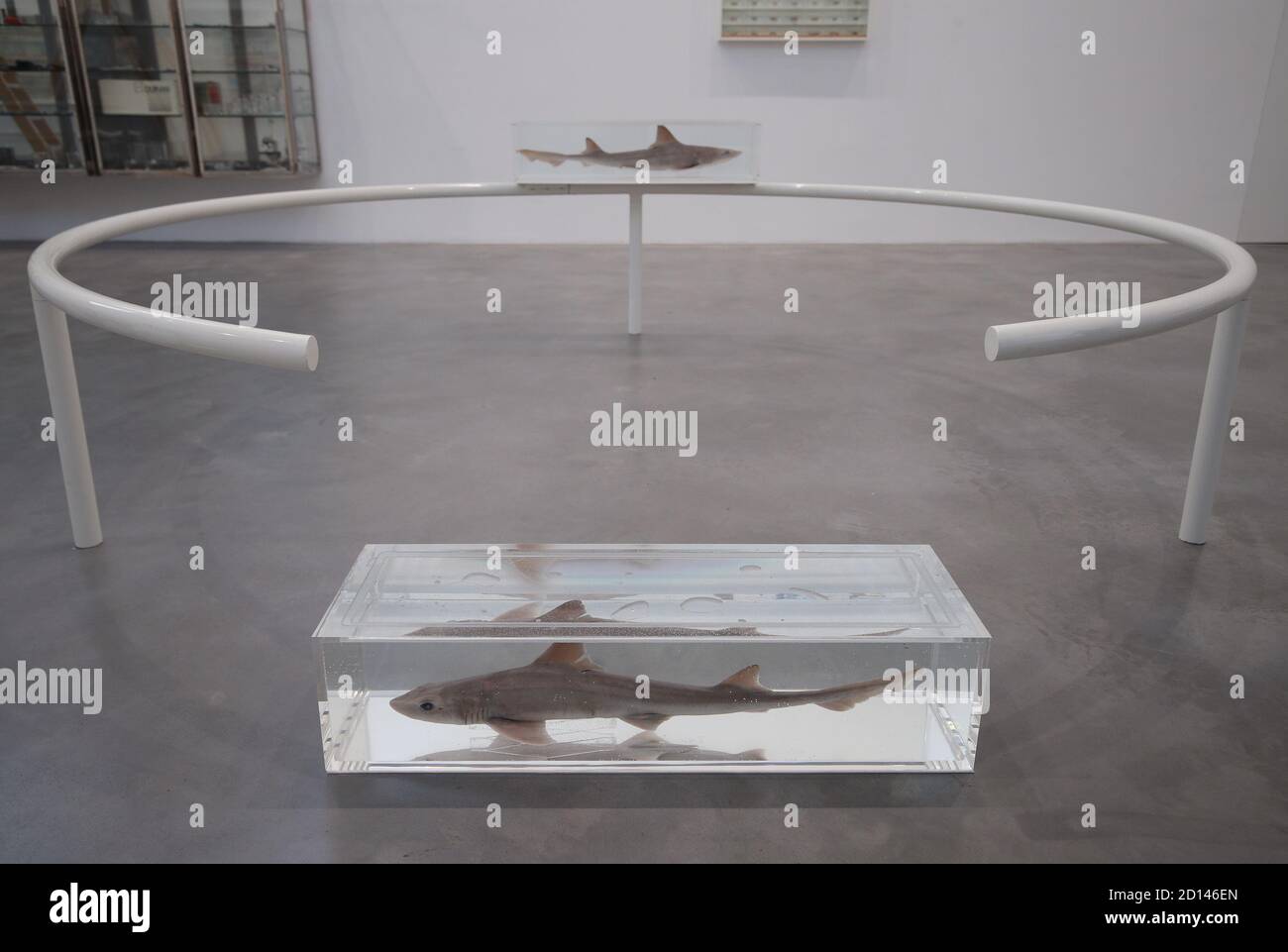 Die Arbeit des Künstlers 'Two similar Swimming Forms in Infinite Flight (Broken)', 1993, während einer Vorschau auf Damien Hirsts Einzelausstellung mit dem Titel 'End of a Century' in der Newport Street Gallery in London, Die über 50 Kunstwerke umfassen, die Hirsts prägende Jahre als Student in den 1980er Jahren bis hin zu einem der führenden zeitgenössischen Künstler Großbritanniens in den 1990er Jahren umfassen werden. Stockfoto