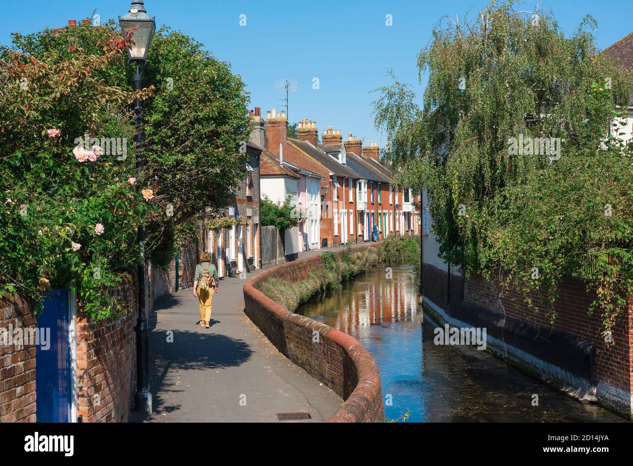 Salisbury Wiltshire, Blick im Sommer auf malerische Reihenhäuser in Water Lane im Zentrum von Salisbury, England, Großbritannien Stockfoto