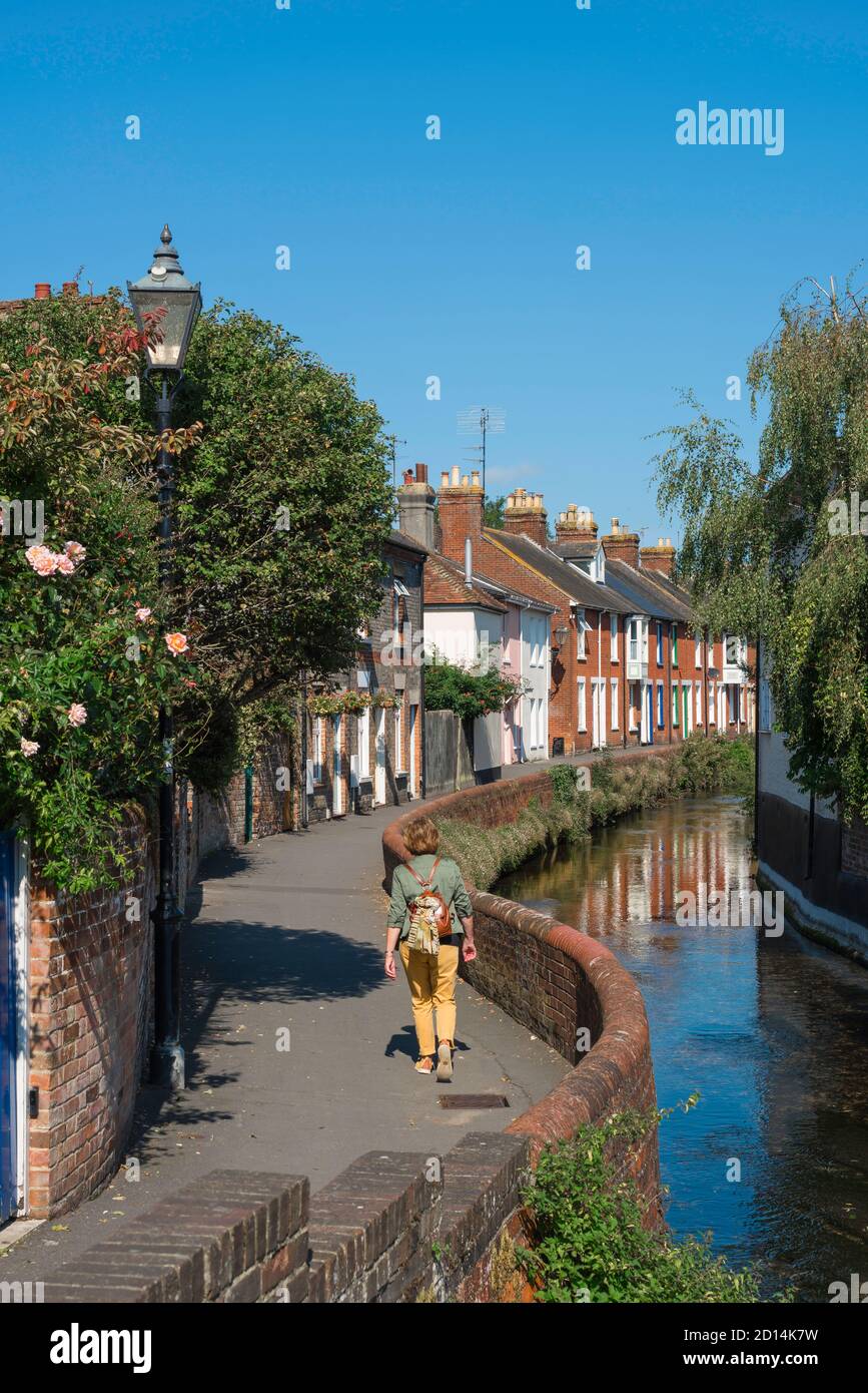 Frau reist England, Rückansicht im Sommer einer reifen Frau, die entlang einer malerischen Straße in Wiltshire, England, Großbritannien geht. Stockfoto