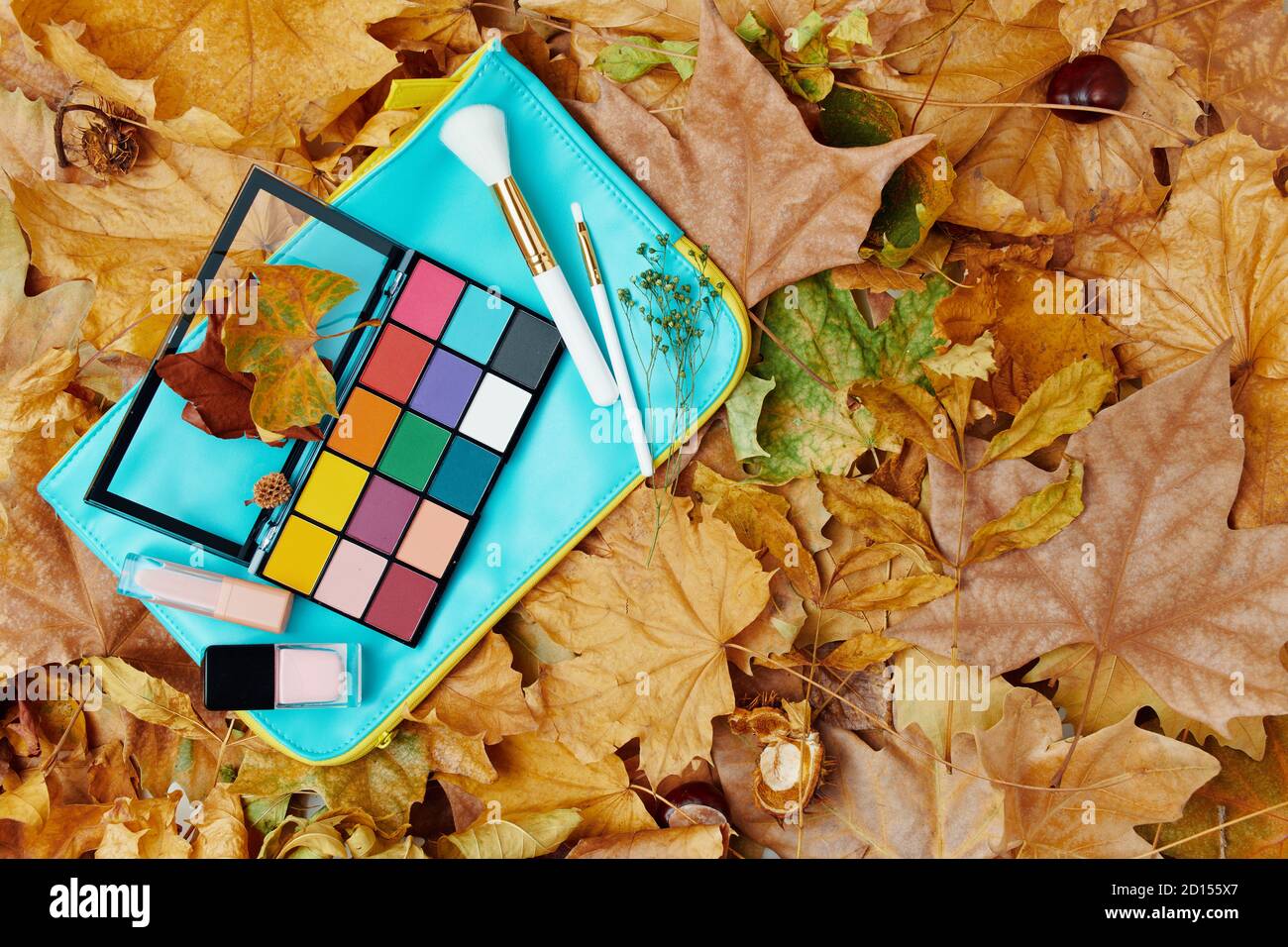 Hallo november. Herbst flach legen mit Blättern und Make-up. Stockfoto