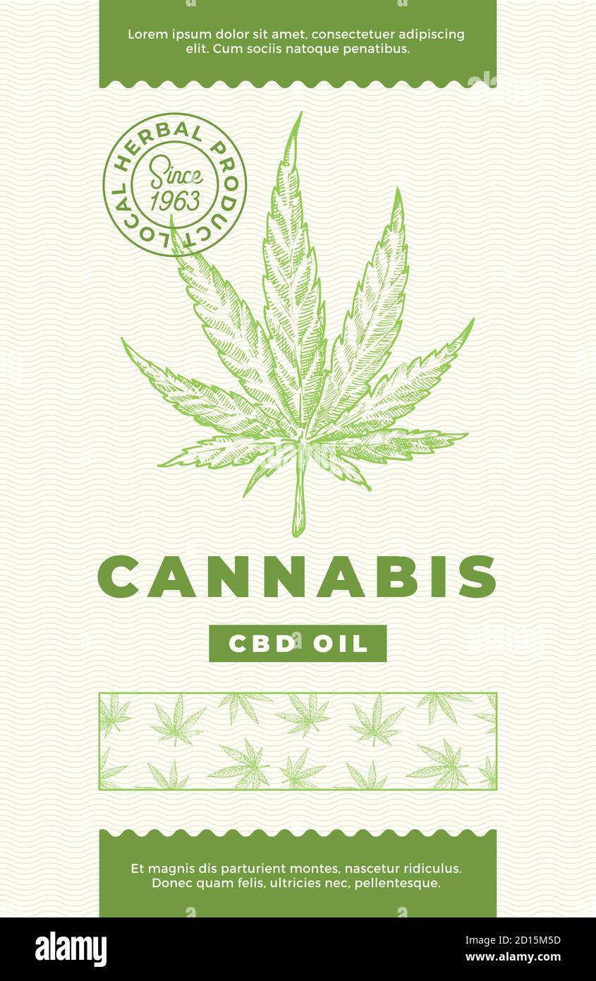 Hanf CBD Öl abstrakt Vektor Design Label. Moderne Typografie und handgezeichnete Cannabis Blatt Skizze Muster Silhouette Hintergrund Layout. Stock Vektor