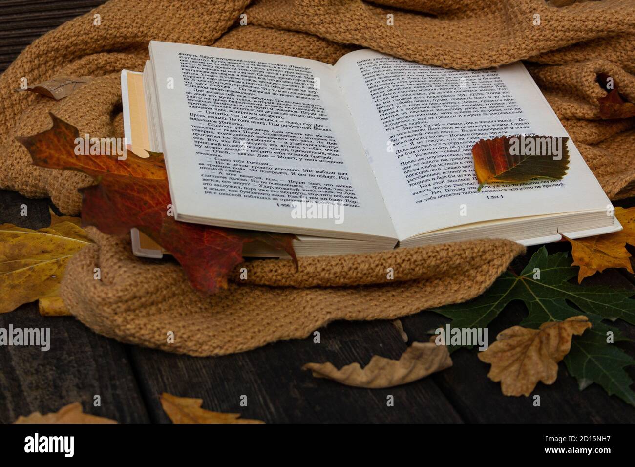 Herbst oder Herbst Komposition mit offenem Buch, gelbem Schal und  gefallenen Blättern auf texturiertem Holzhintergrund. Gemütliches  romantisches Konzept Stockfotografie - Alamy