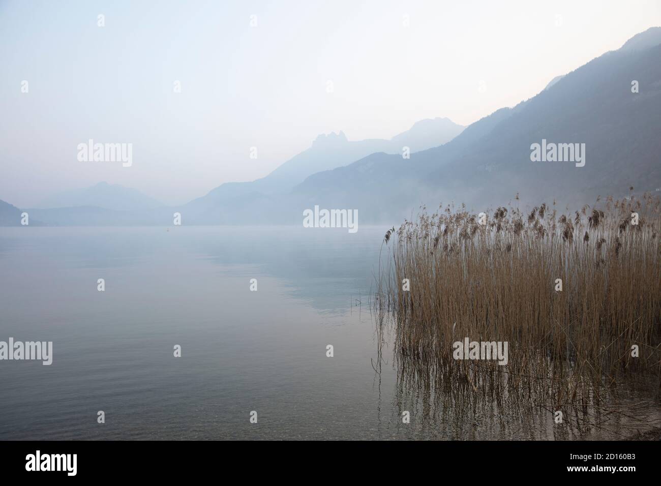 Frankreich, Haute Savoie, Annecy, See von Annecy, Schilfbeete im Reservat des Endes des Sees Stockfoto