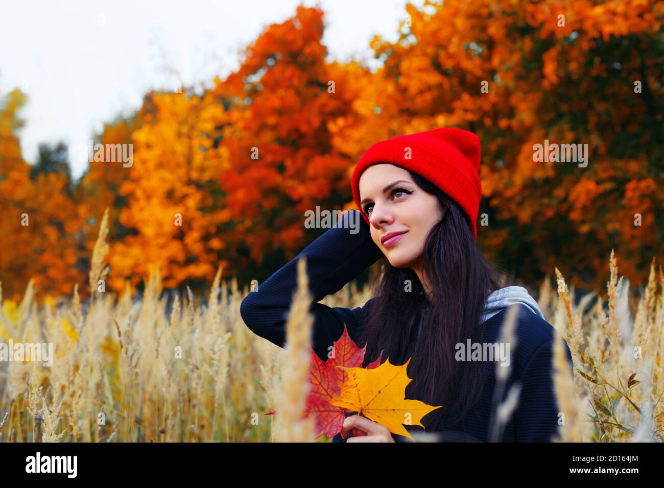 Brunnette kaukasische Frau in rotem Hut hält Ahornblätter und lächelt. Herbstporträt im Freien Stockfoto