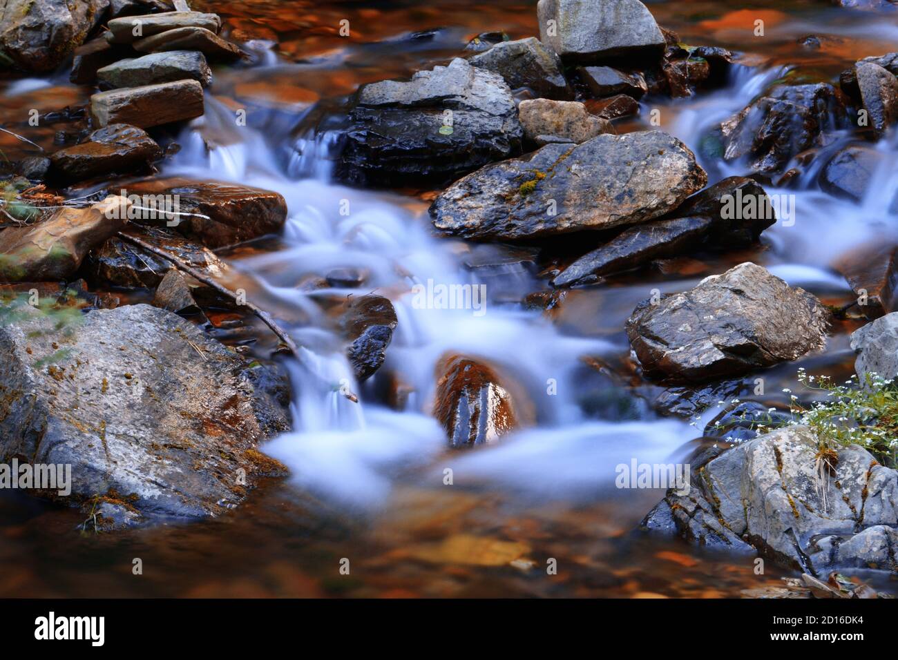 Schönes Kaskadierwasser eines Waldflusses. Kühles und frisches Moorwasser über wilden Felsen. Natur Hintergrund. Wellness- und Waldbadkonzept. Stockfoto