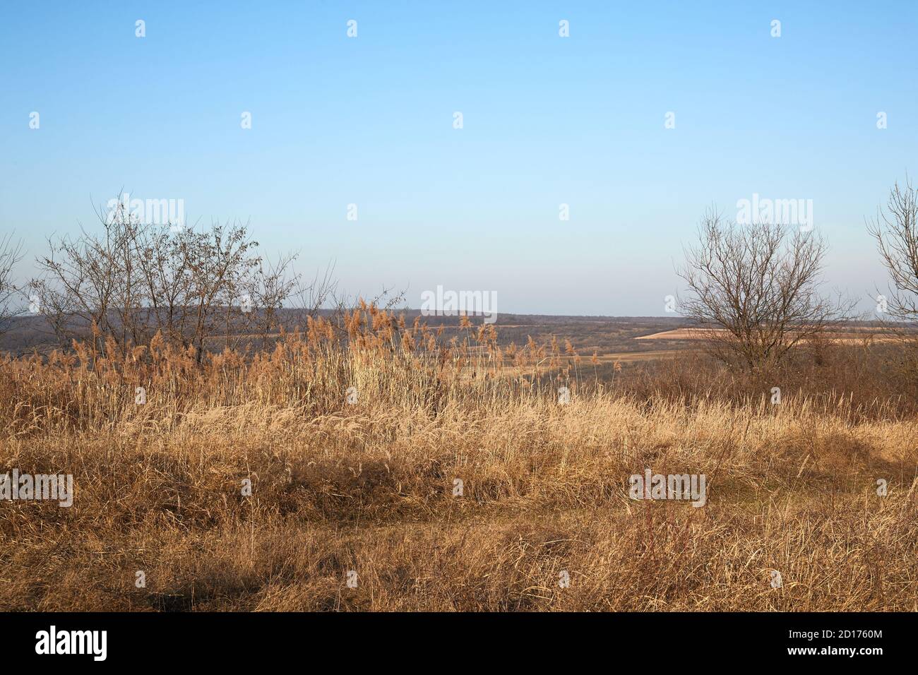 Landschaftsplatzstraße Landschaft, blasser Herbst Stockfoto