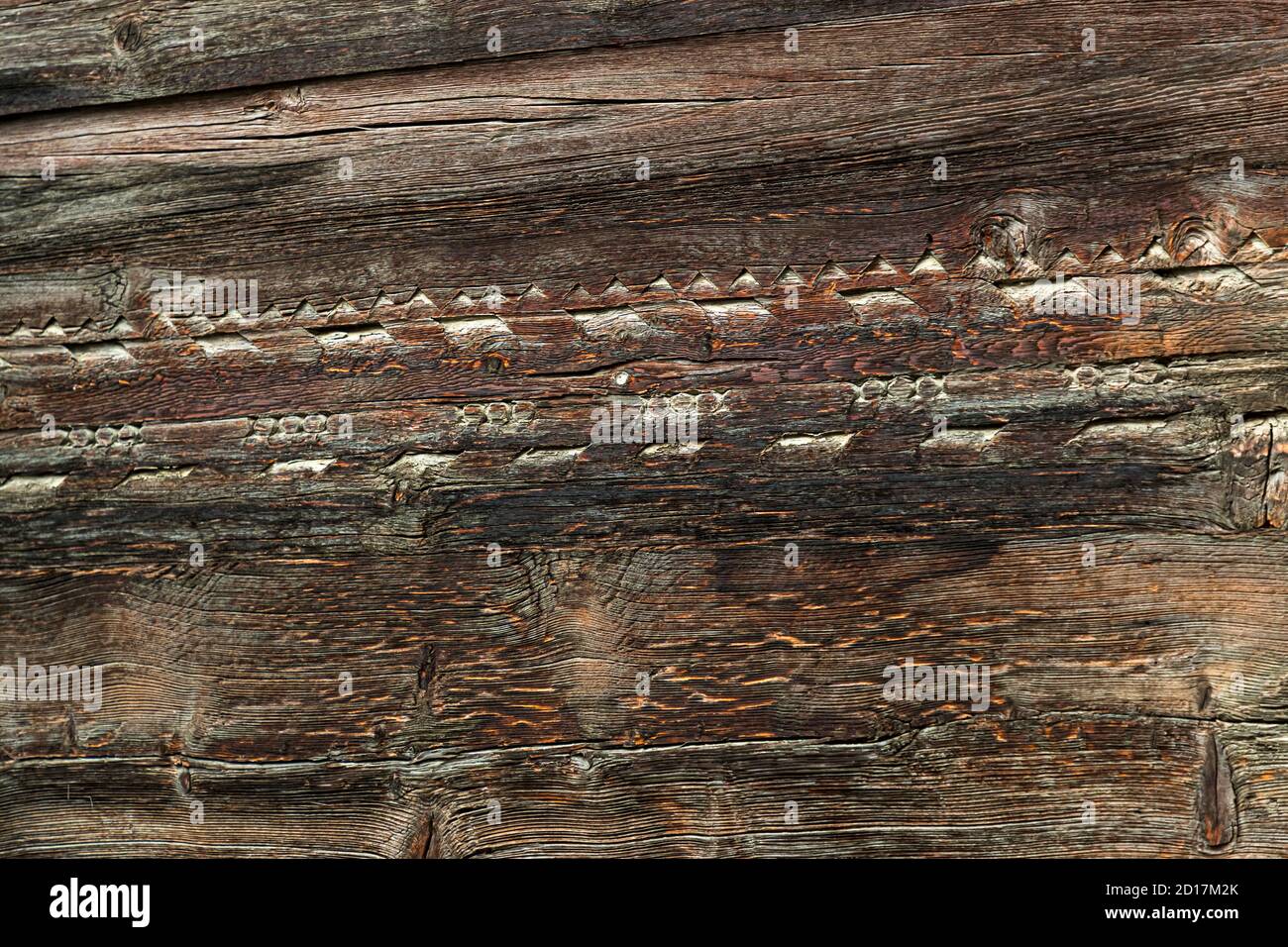 Wanderung über den Weinweg von Visperterminen nach Visp, Wallis, Schweiz. Visperterminen liegt 1,170 Meter entfernt. Das Dorf ist übersät mit alten Häusern und Scheunen. Einige von ihnen sind heute kleine Museen und zeigen, wie die Bewohner von Visperterminen, die sich Terbiner nennen, vor etwa 150 Jahren lebten. Stockfoto