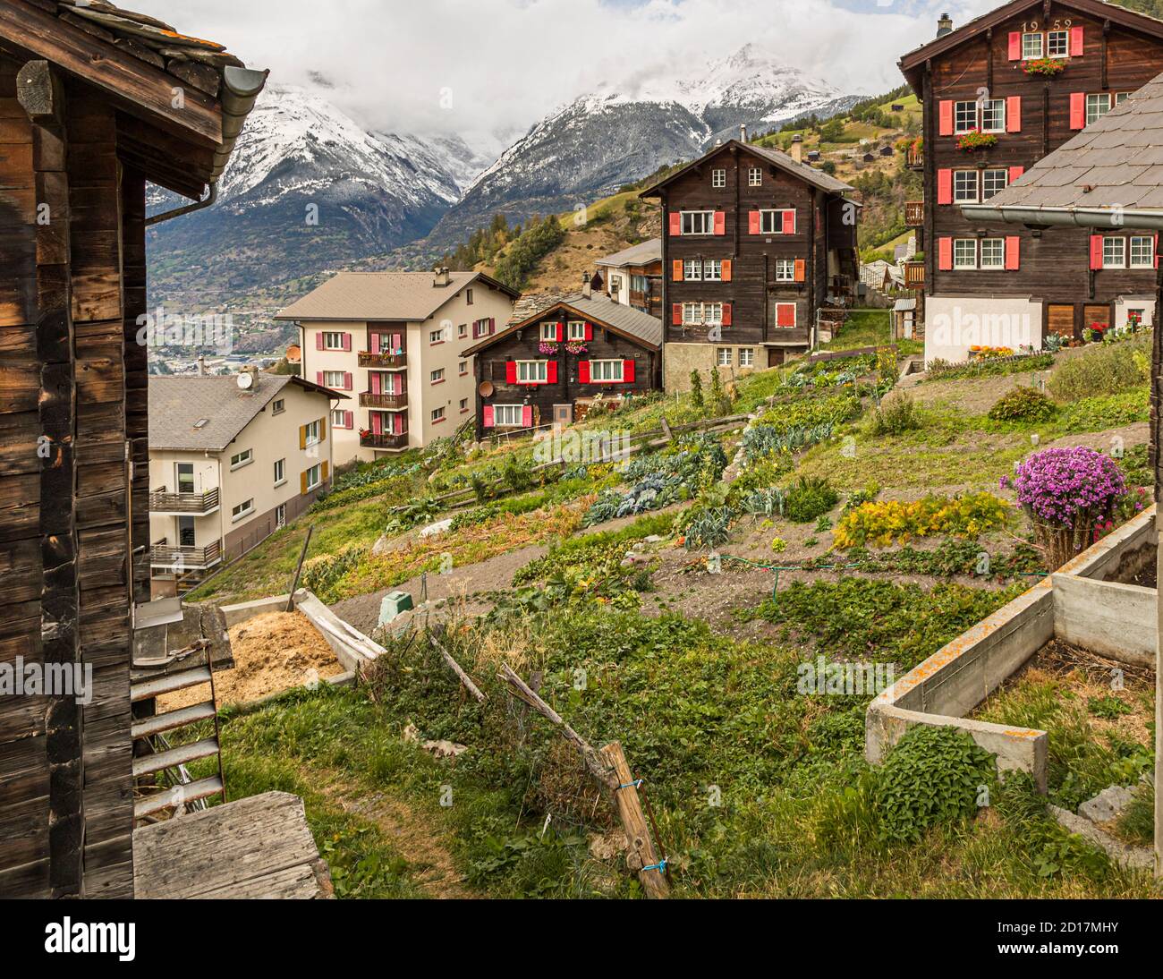 Wanderung über den Weinweg von Visperterminen nach Visp, Wallis, Schweiz. Visperterminen liegt 1,170 Meter entfernt. Das Dorf ist übersät mit alten Häusern und Scheunen. Einige von ihnen sind heute kleine Museen und zeigen, wie die Bewohner von Visperterminen, die sich Terbiner nennen, vor etwa 150 Jahren lebten. Stockfoto