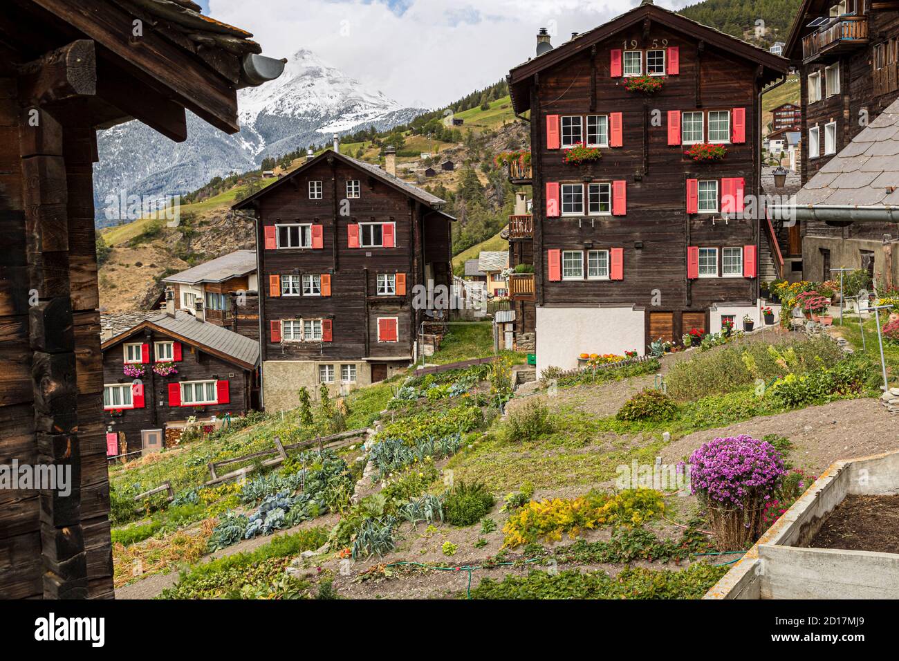 Wanderung über den Weinweg von Visperterminen nach Visp, Wallis, Schweiz. Visperterminen liegt 1,170 Meter entfernt. Das Dorf ist übersät mit alten Häusern und Scheunen. Einige von ihnen sind heute kleine Museen und zeigen, wie die Bewohner von Visperterminen, die sich Terbiner nennen, vor etwa 150 Jahren lebten. Stockfoto