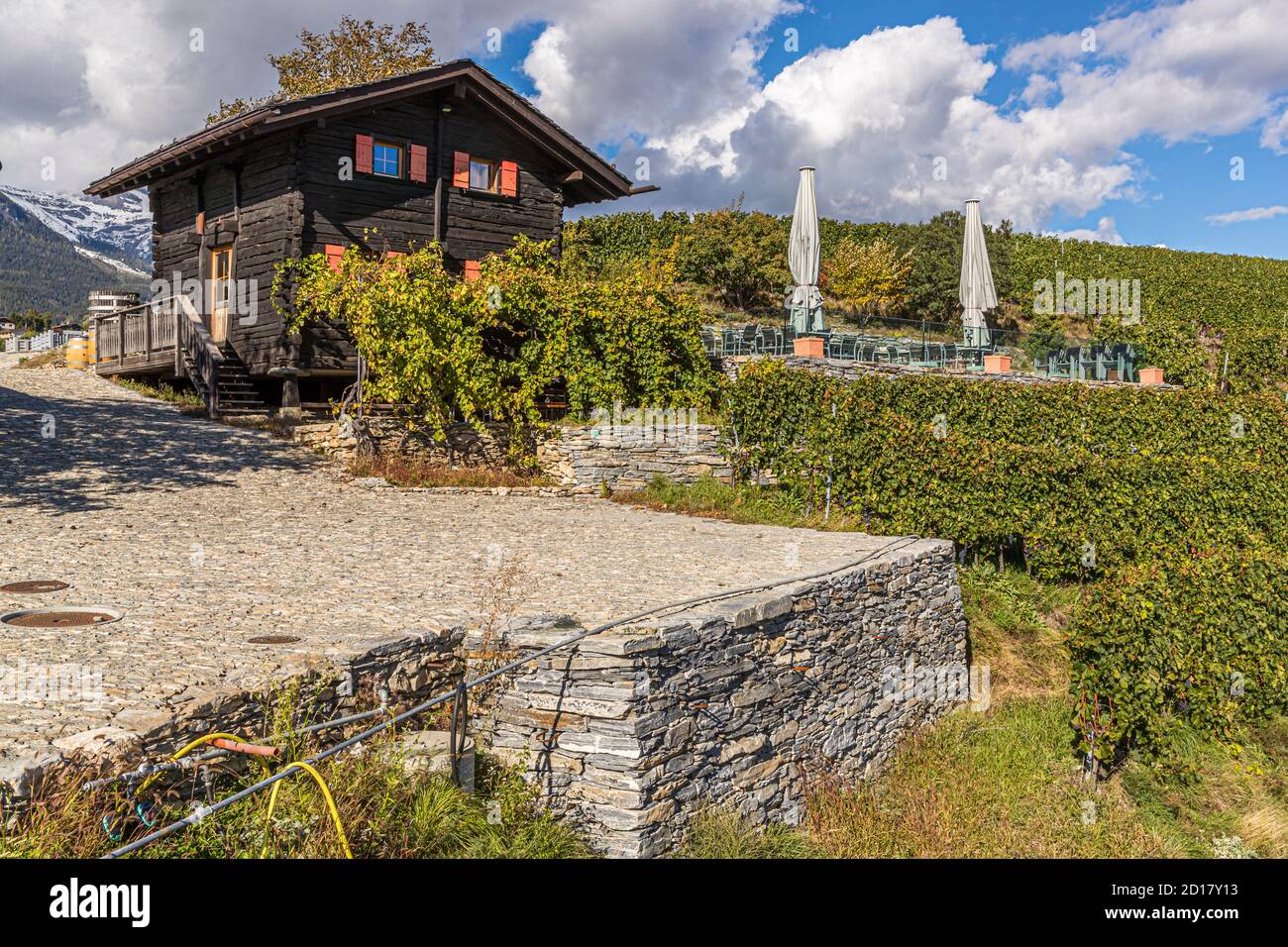 Weingut Bonvin in Sion, Schweiz Stockfoto