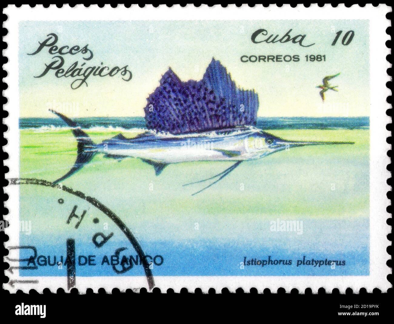 Sankt Petersburg, Russland - 18. September 2020: Briefmarke gedruckt in Kuba das Bild des Indo-Pazifischen Seefischs, Istiophorus platypterus, um 1981 Stockfoto