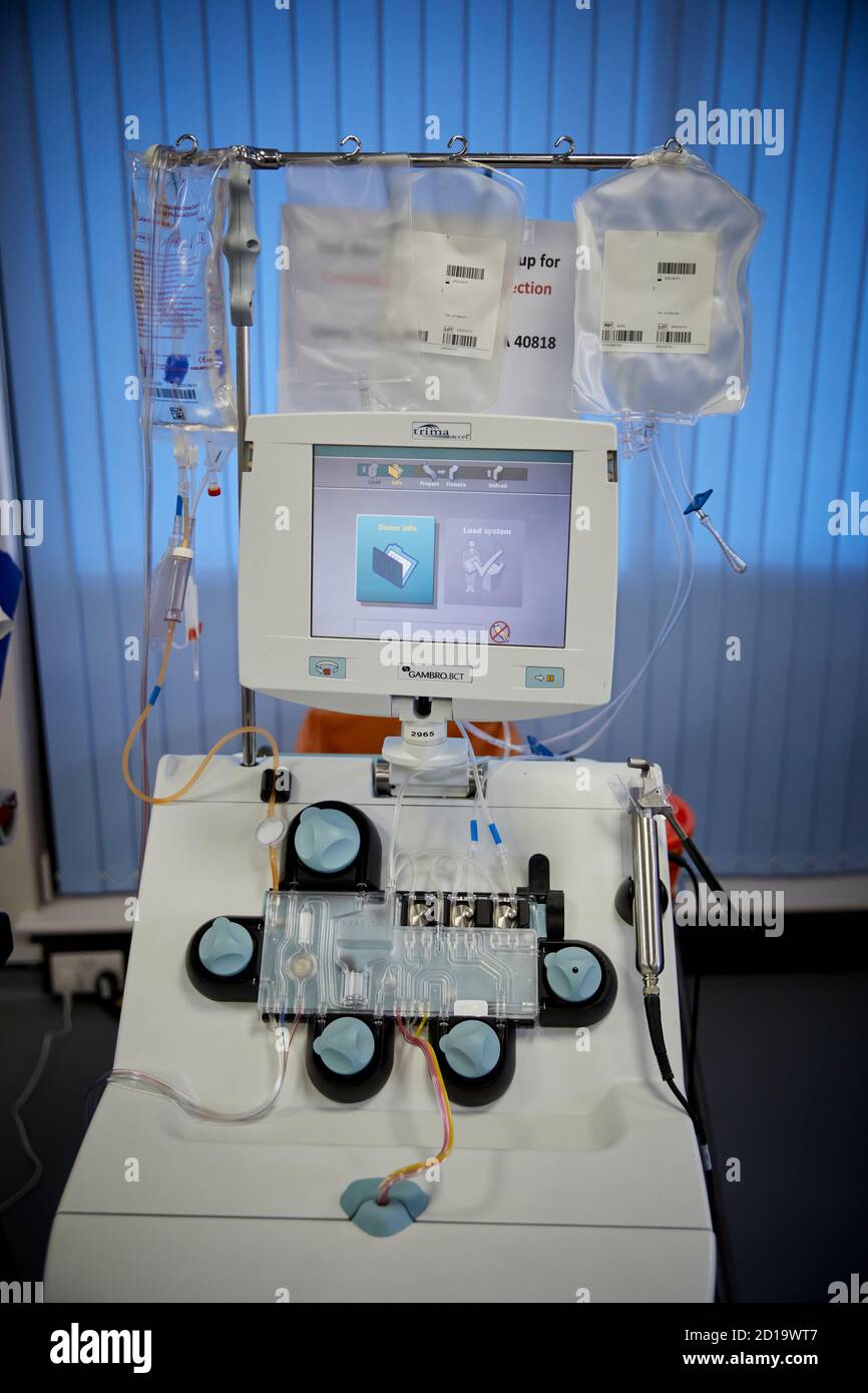 NHS Blutspendezentrum Plasmaspende, Plasma die größte Einzelkomponente des Blutes eine klare, strohfarbene Flüssigkeit, trägt Blutplättchen, rot und weiß Stockfoto