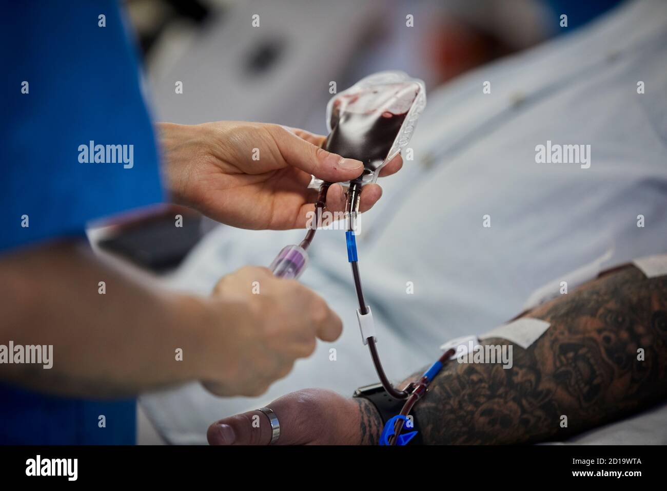 NHS Blutspendezentrum Plasmaspende, Plasma die größte Einzelkomponente des Blutes eine klare, strohfarbene Flüssigkeit, trägt Blutplättchen, rot und weiß Stockfoto