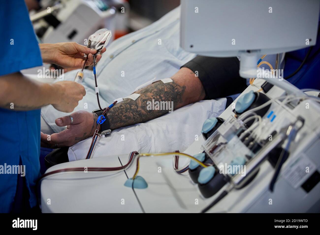 NHS Blutspendezentrum Plasmaspende, Plasma die größte Einzelkomponente des Blutes eine klare, strohfarbene Flüssigkeit, trägt Blutplättchen, rot und weiß Stockfoto