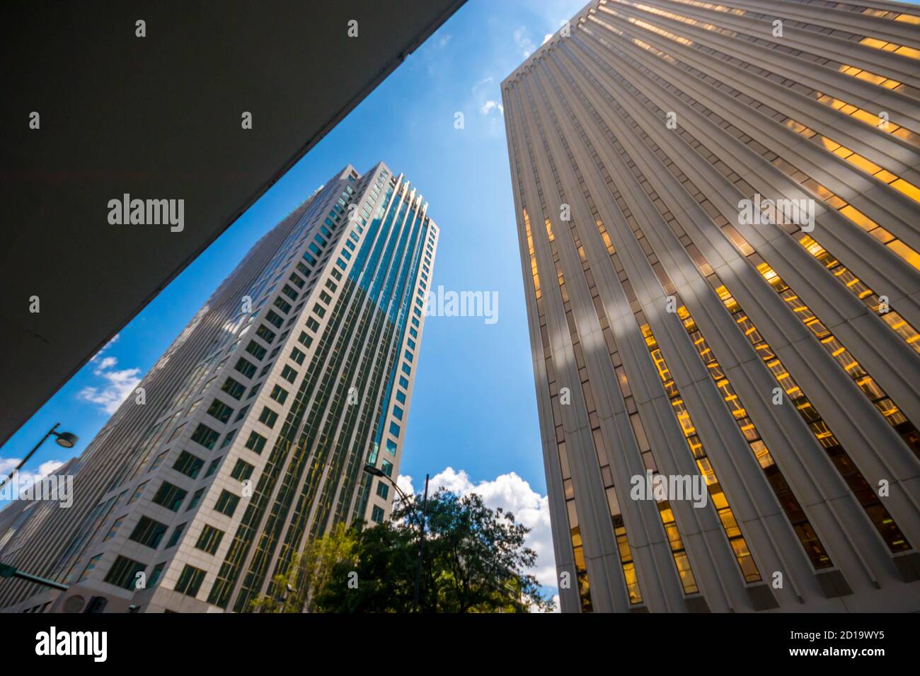 Stadtbild von Uptown Charlotte, North Carolina. Stockfoto