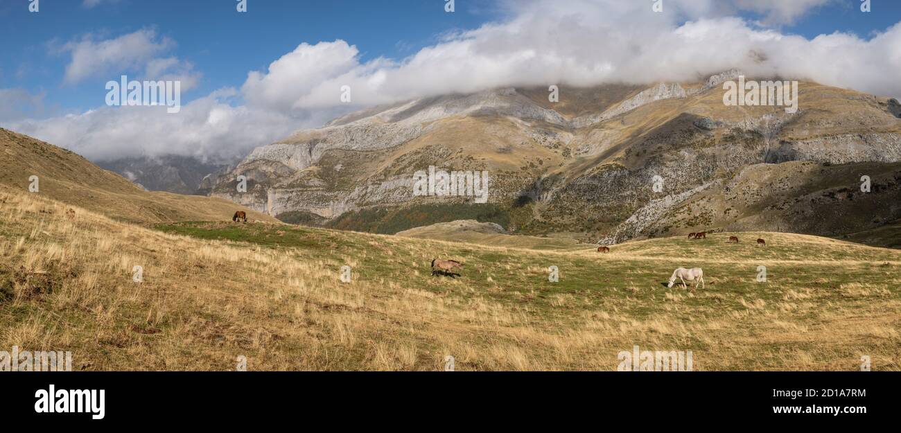 Herde von Pferden auf den Pisten von Punta de la Cuta, westlichen Täler, Pyrenäen, Provinz Huesca, Aragón, Spanien, Europa Stockfoto