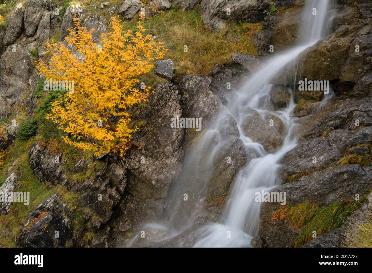 Wanderweg GR11, Schlucht von Agüerri, westlichen Täler, Pyrenäen, Provinz Huesca, Aragón, Spanien, Europa Stockfoto