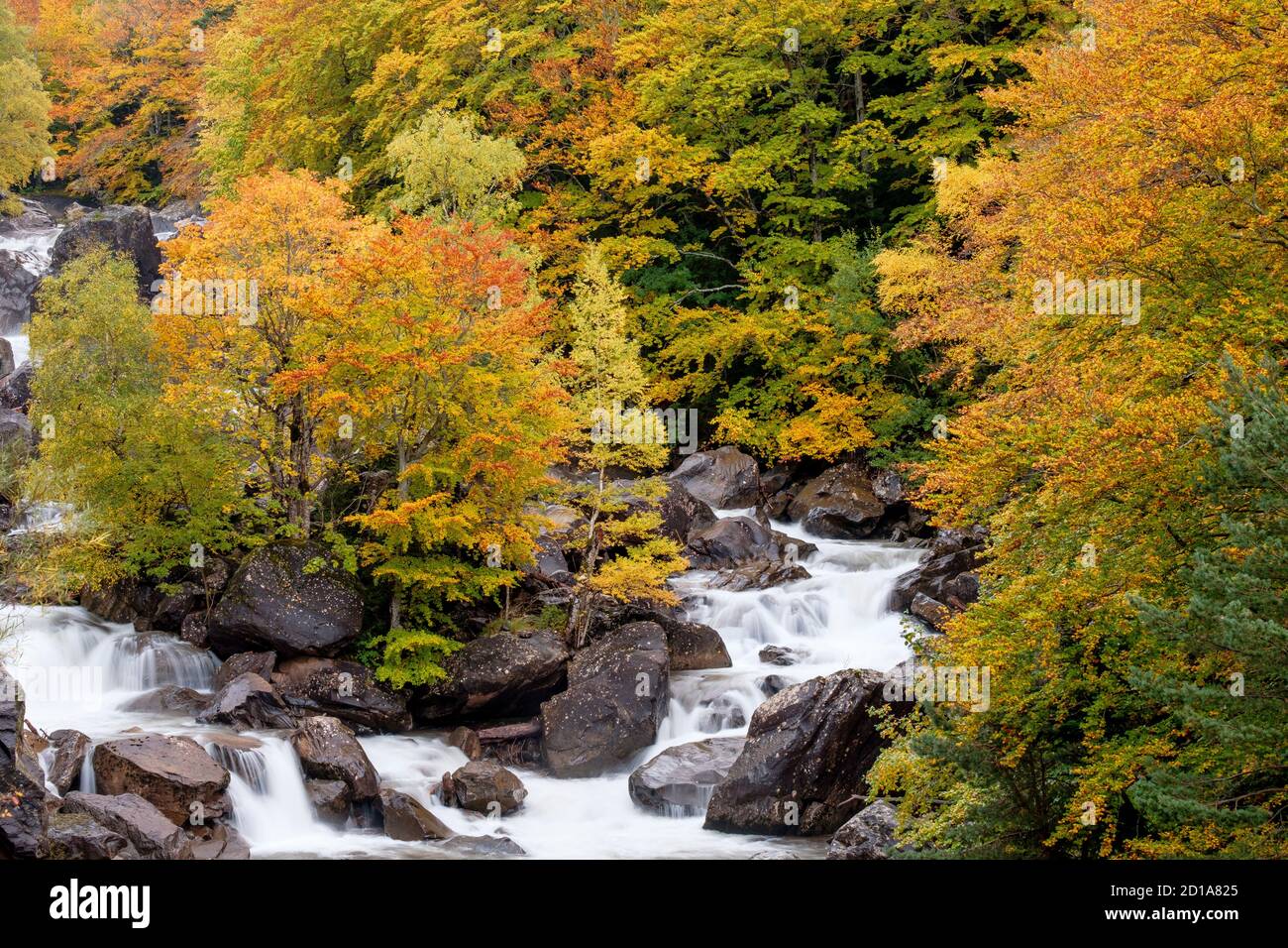 Aragón Subordán Fluss, Selva de Oza, Tal von Hecho, westlichen Täler, Pyrenäen, Provinz Huesca, Aragón, Spanien, Europa Stockfoto