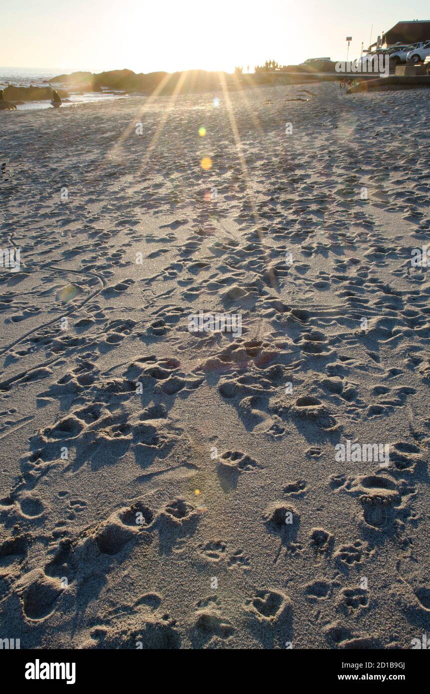 Gang über den Sand bei Sonnenuntergang Stockfoto