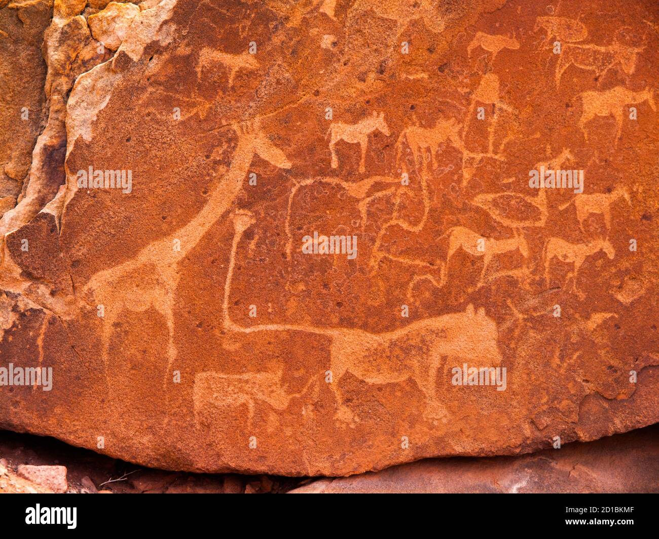 Prähistorische Buschmann Gravuren - Löwenplatte mit Löwenmensch und anderen Tieren und Symbolen, Twyfelfontein, Namibia Stockfoto